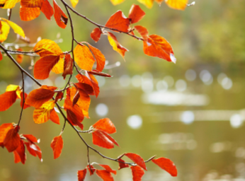 Marché immobilier : pourquoi septembre est le mois stratégique pour vendre ?